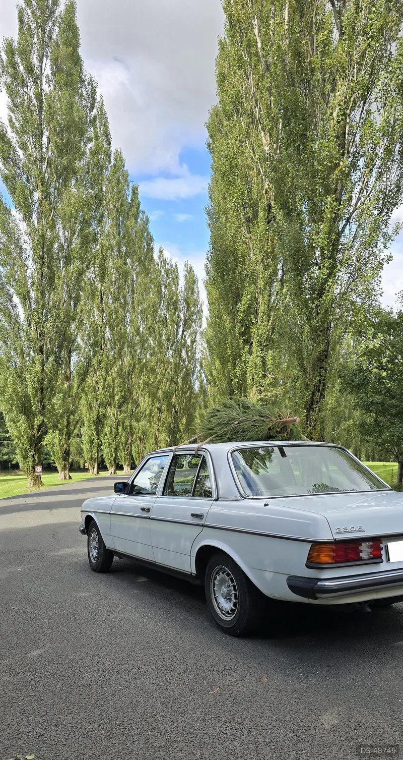 1981 Mercedes-Benz W123 in Leicester 3