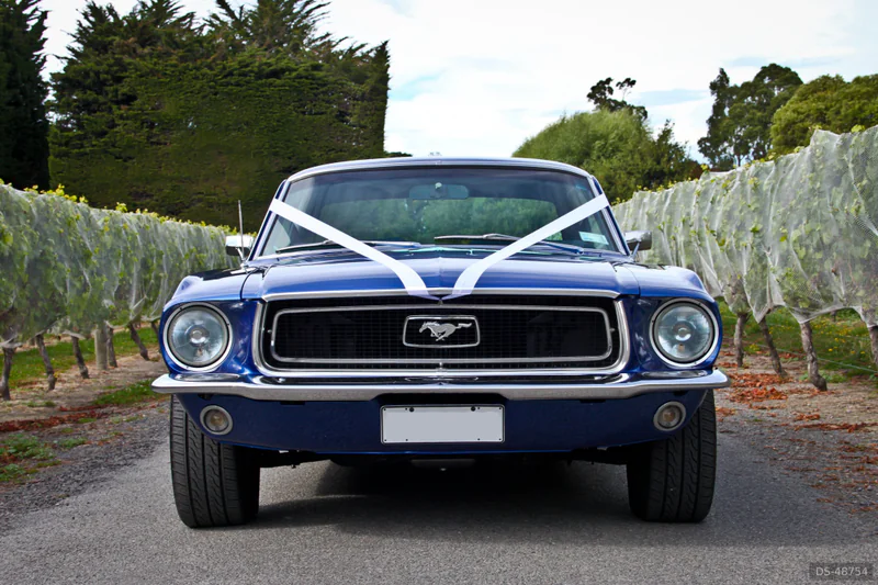 1968 Ford Mustang in Christchurch 7