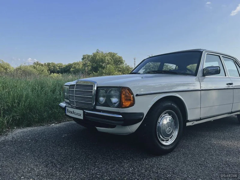 1979 Mercedes-Benz W123 in Bratislava 3