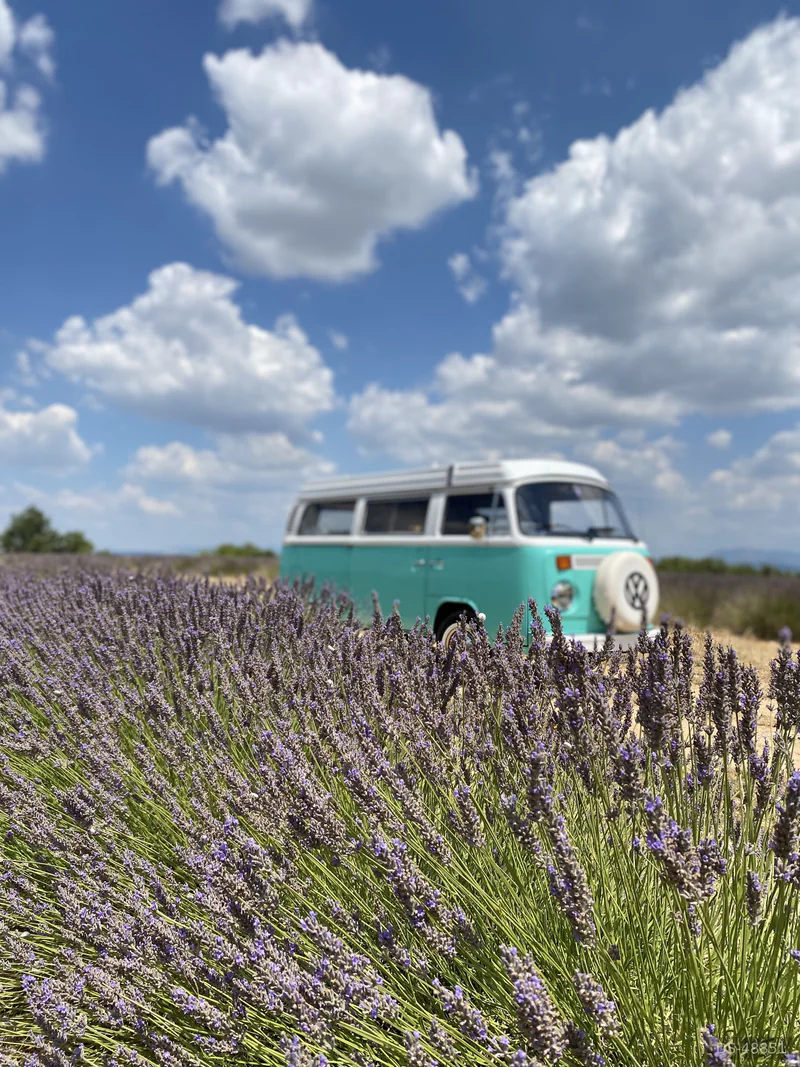 1973 Volkswagen T2 in Confignon