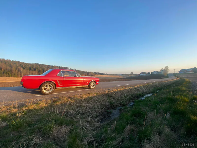 1966 Ford Mustang in Auli 3