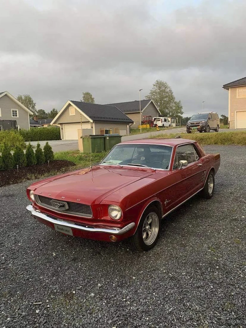 1966 Ford Mustang in Auli 4