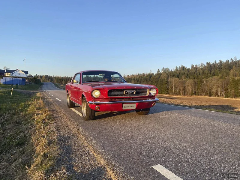 1966 Ford Mustang in Auli 2