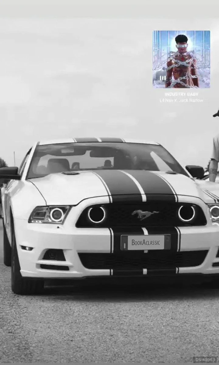 2014 Ford Mustang in Cornedo Vicentino