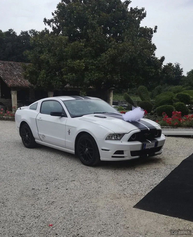 2014 Ford Mustang in Cornedo Vicentino 6