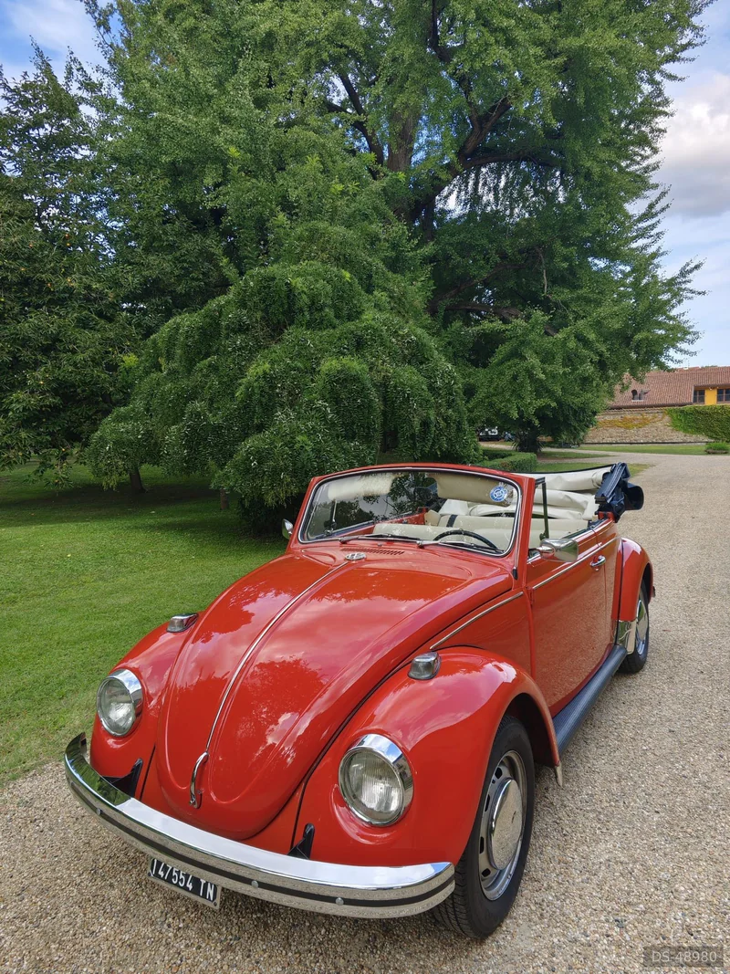 1970 Volkswagen Maggiolino Cabrio in Torino 3