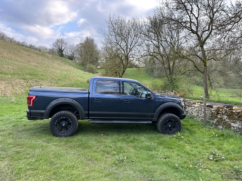 2016 Ford F150 in Betchworth 4