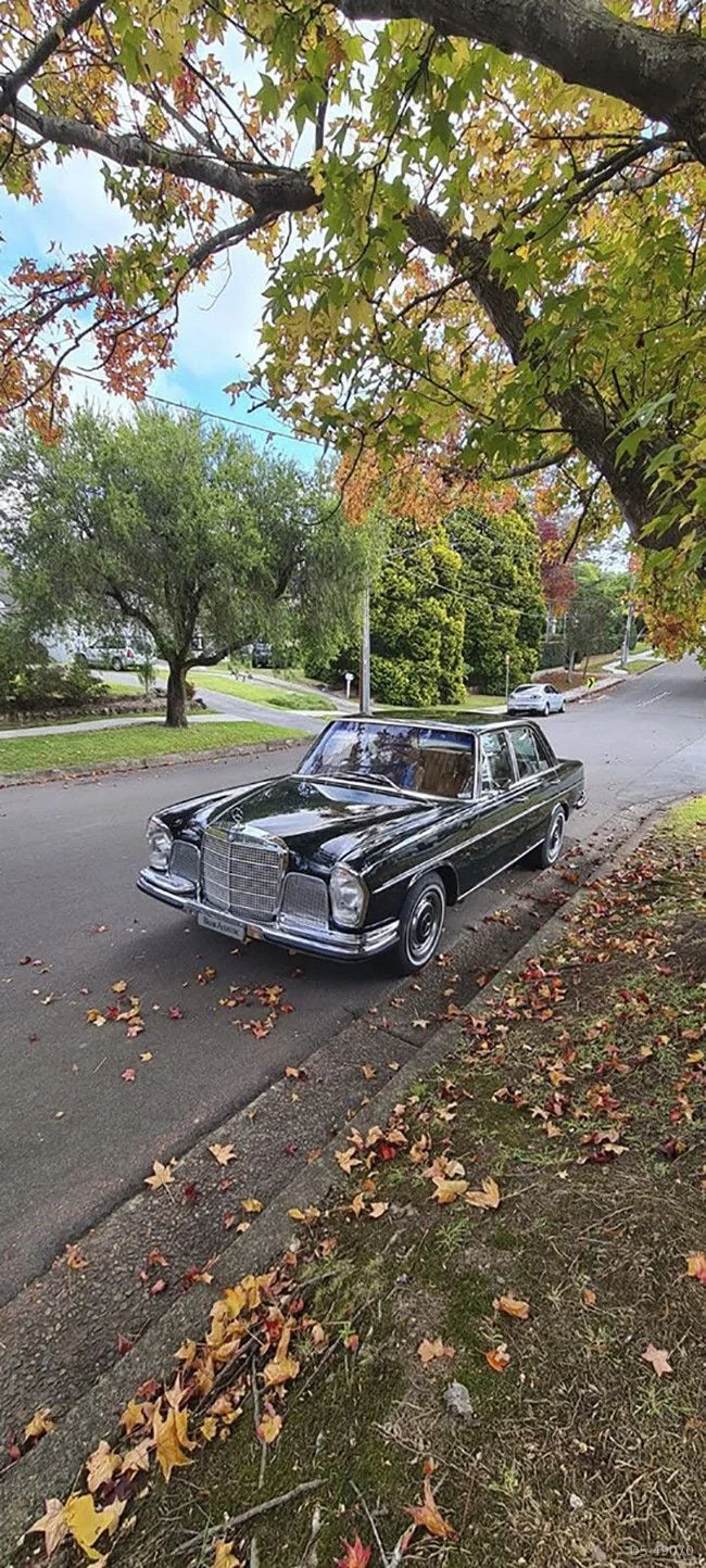 1969 Mercedes-Benz 280se in Strathfield 9