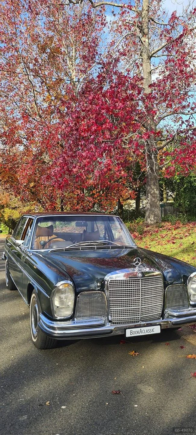 1969 Mercedes-Benz 280se in Strathfield 3