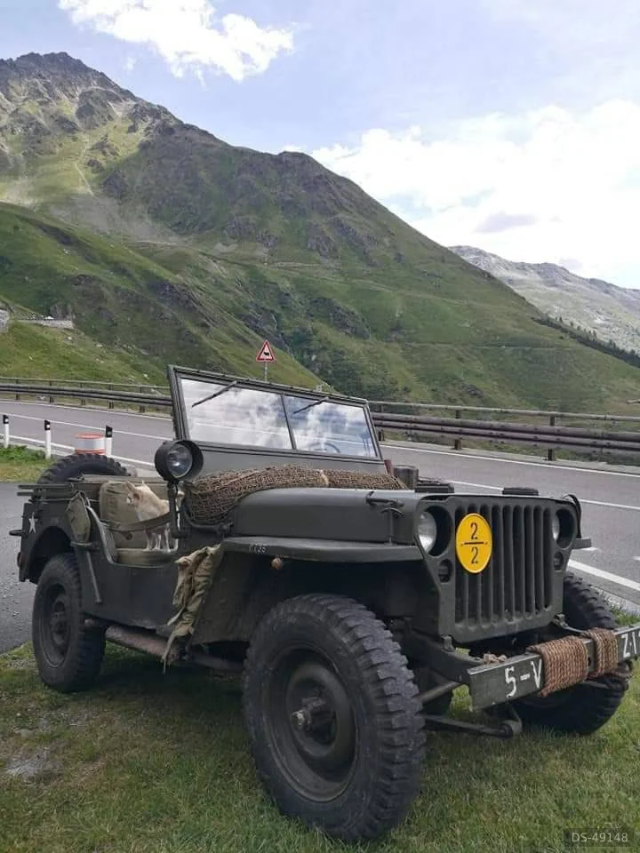 1944 Willys Overland Jeep Mb in Borgofranco D'ivrea 8