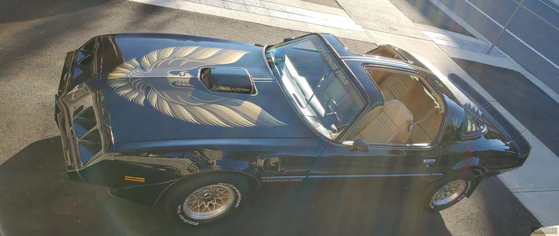 1981 Pontiac Firebird in Caledon 3