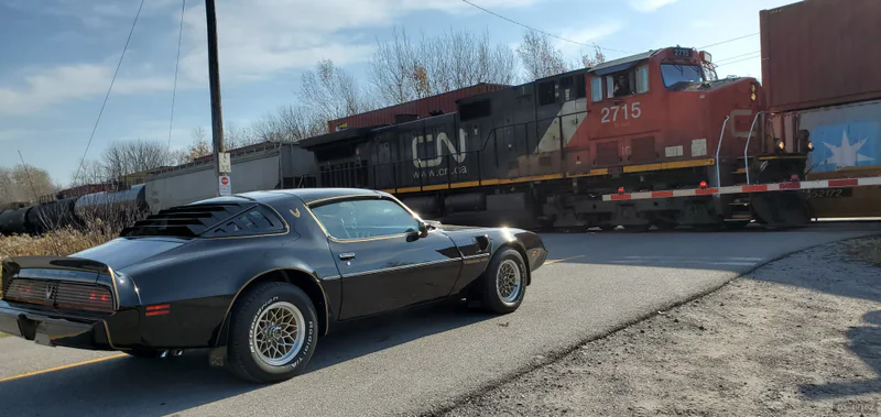 1981 Pontiac Firebird in Caledon