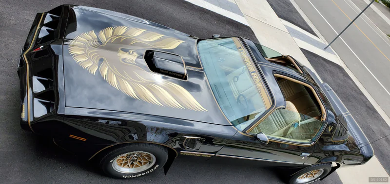 1981 Pontiac Firebird in Caledon 4