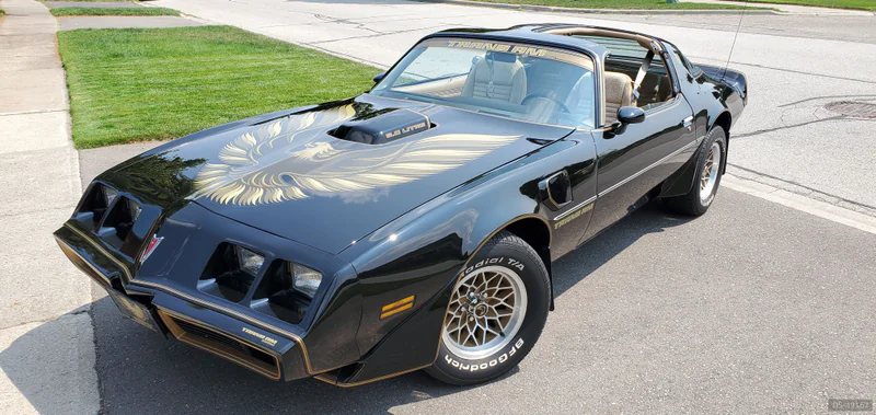 1981 Pontiac Firebird in Caledon 5