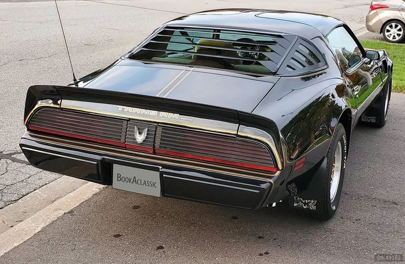 1981 Pontiac Firebird in Caledon 2