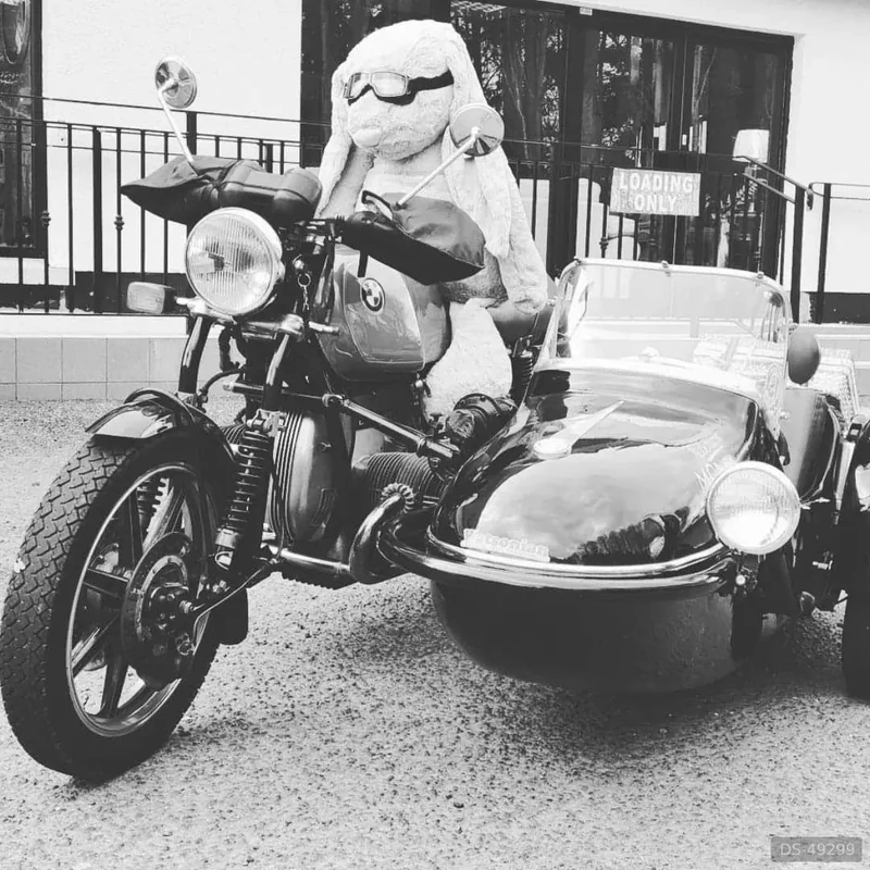 1978 BMW Sidecar in Hillsborough 2