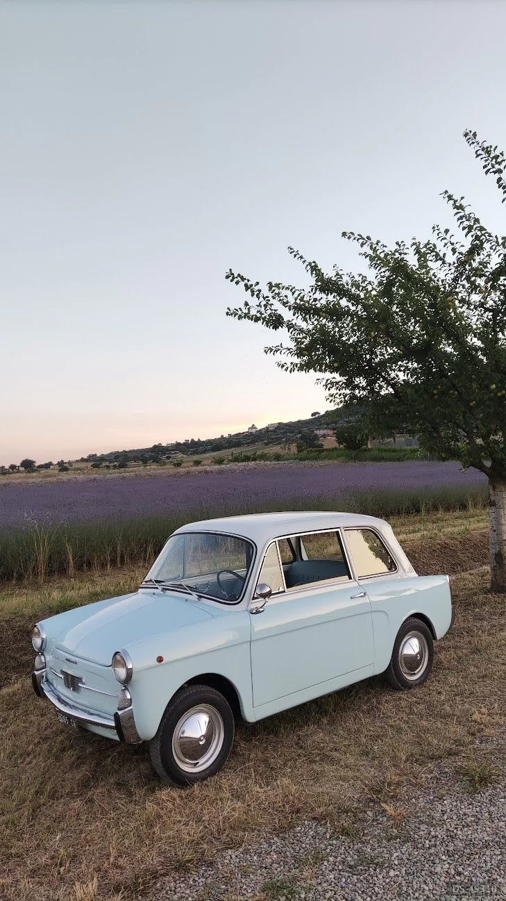 1963 Autobianchi Bianchina in Perugia 3