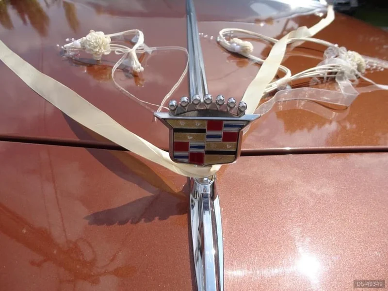 1983 Cadillac Coupe Deville in Sered 4