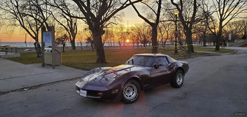 1981 Chevrolet Corvette in Toronto 3
