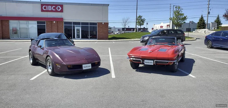 1981 Chevrolet Corvette in Toronto 4