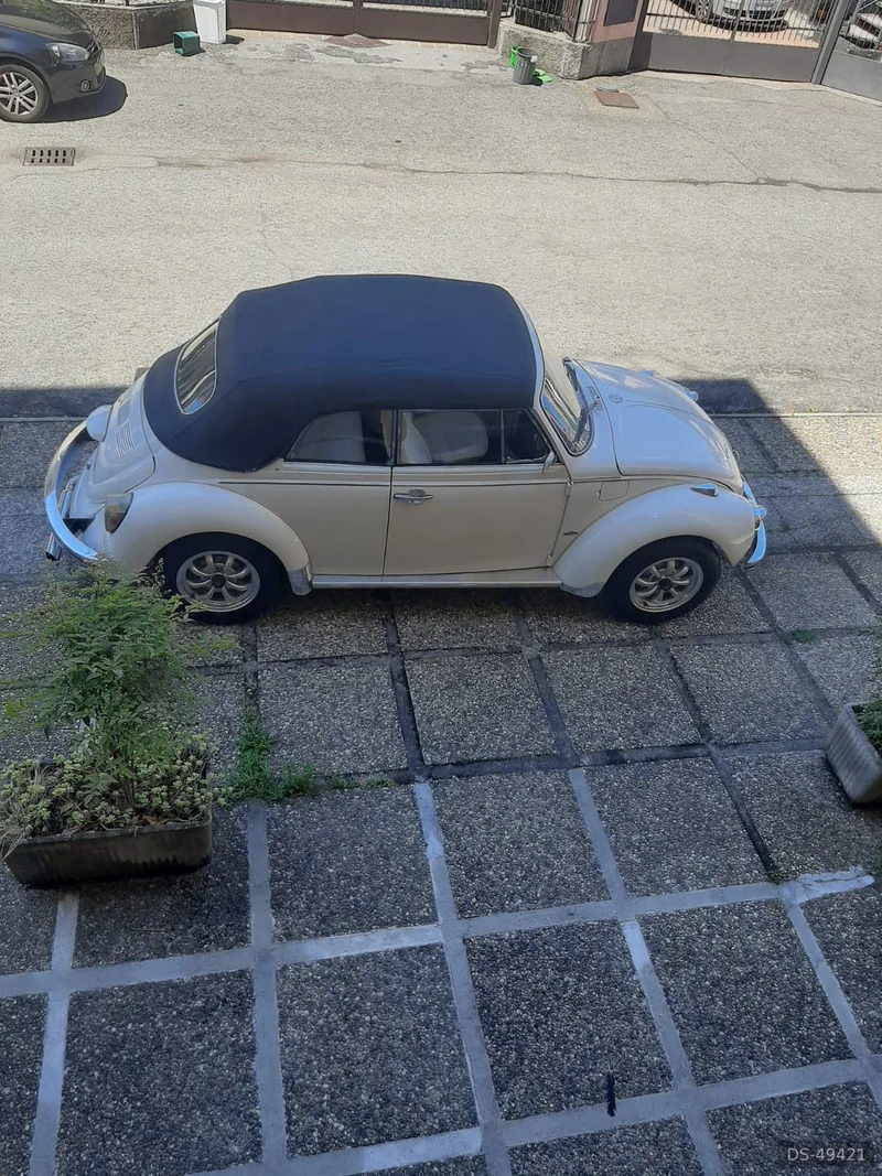 1972 Volkswagen Maggiolino Cabrio in Muggio' 2