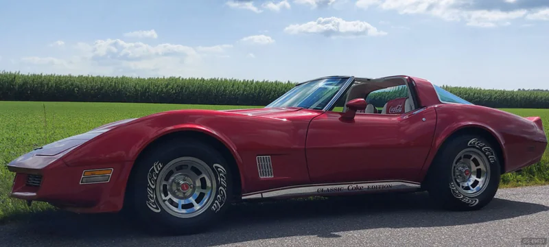 1980 Chevrolet Corvette in Storvorde 2