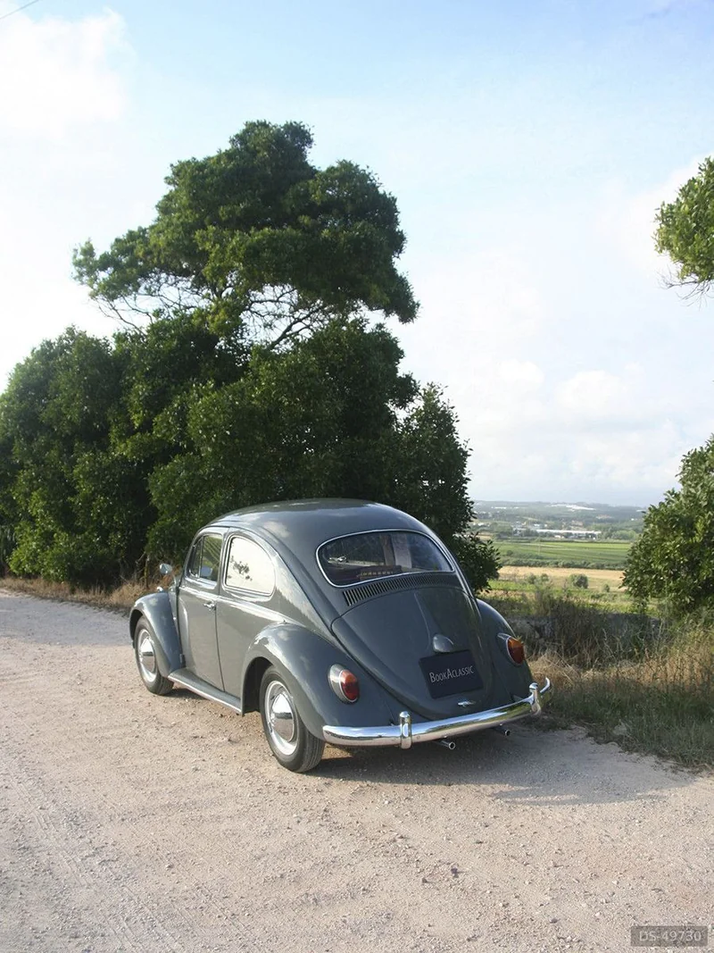1962 Volkswagen Carocha 1200 in Ventosa - Torres Vedras 3