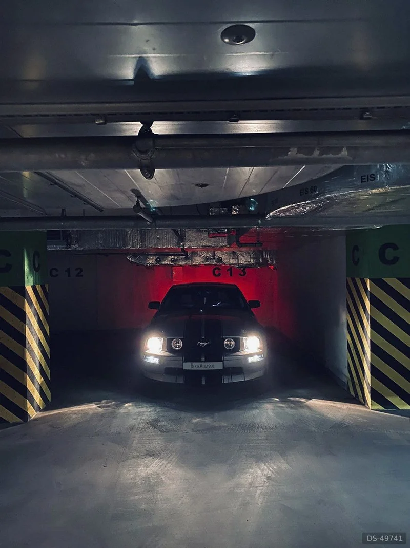 2006 Ford Mustang in Radom 4