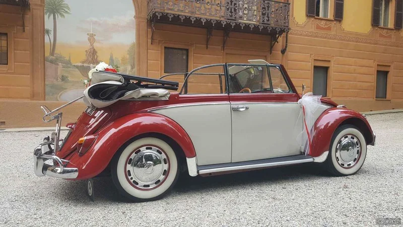 1966 Volkswagen Maggiolino Cabrio 6 Volt in Alba 2