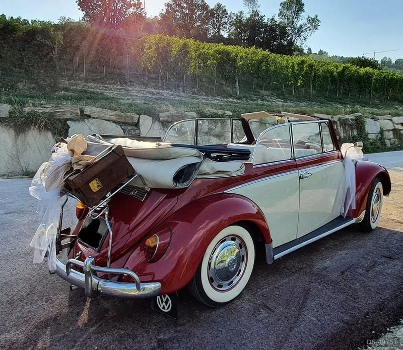 1966 Volkswagen Maggiolino Cabrio 6 Volt in Alba 5