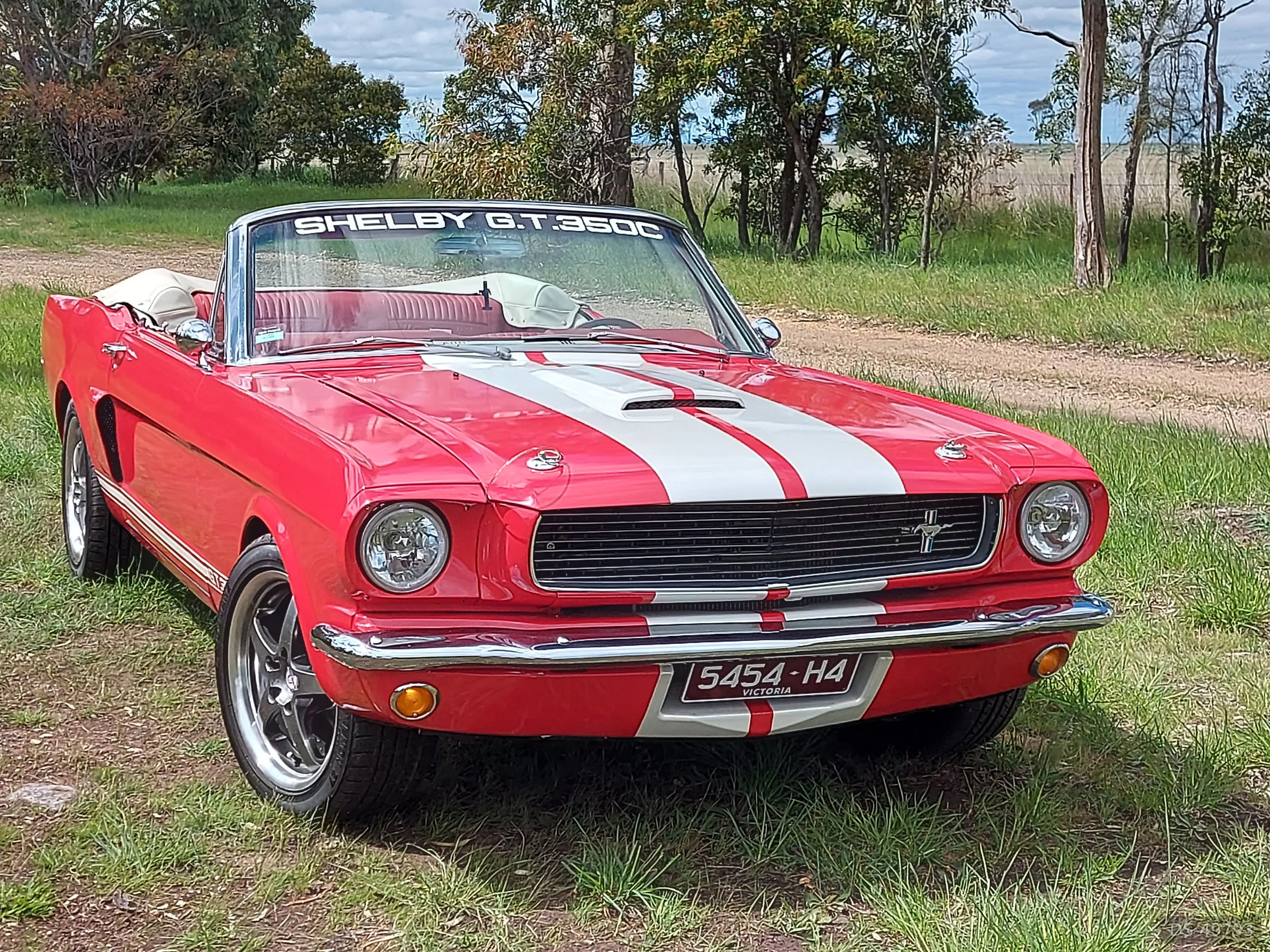 1966 Ford Mustang