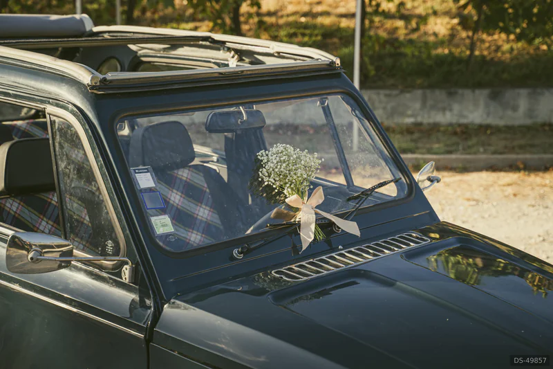 1982 Citroen Dyane in Leiria 4
