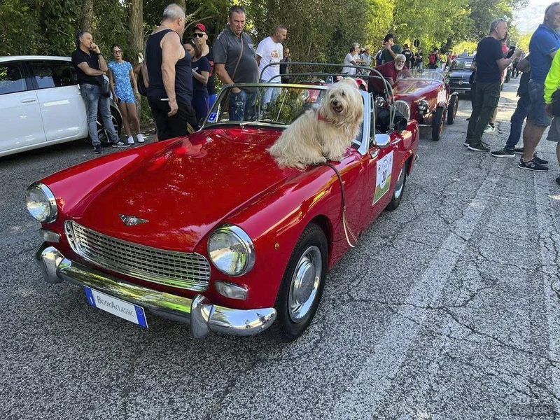 1966 Austin Healey Sprite in Roma 2