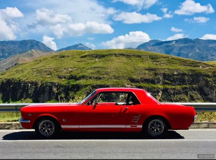 1966 Ford Mustang in Cali 5