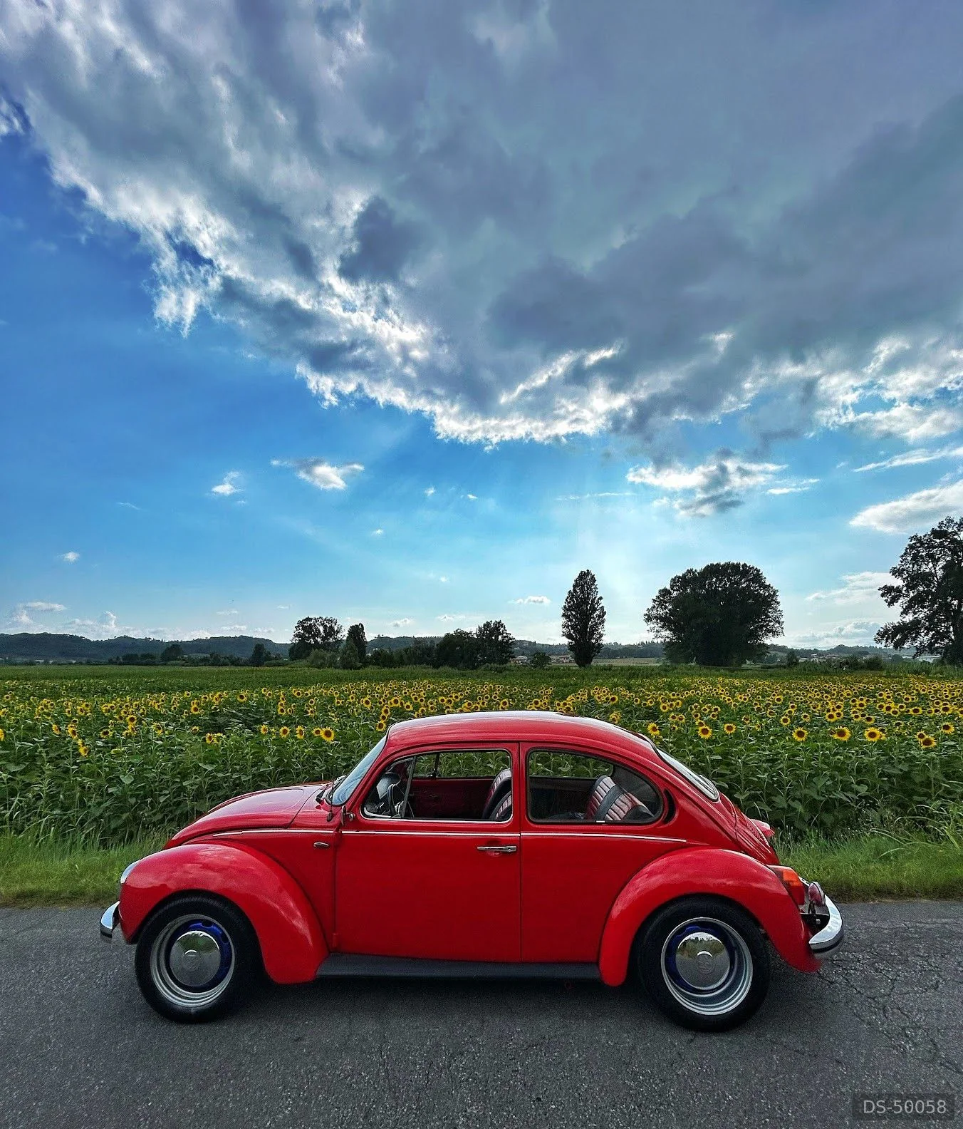 1975 Volkswagen Maggiolone