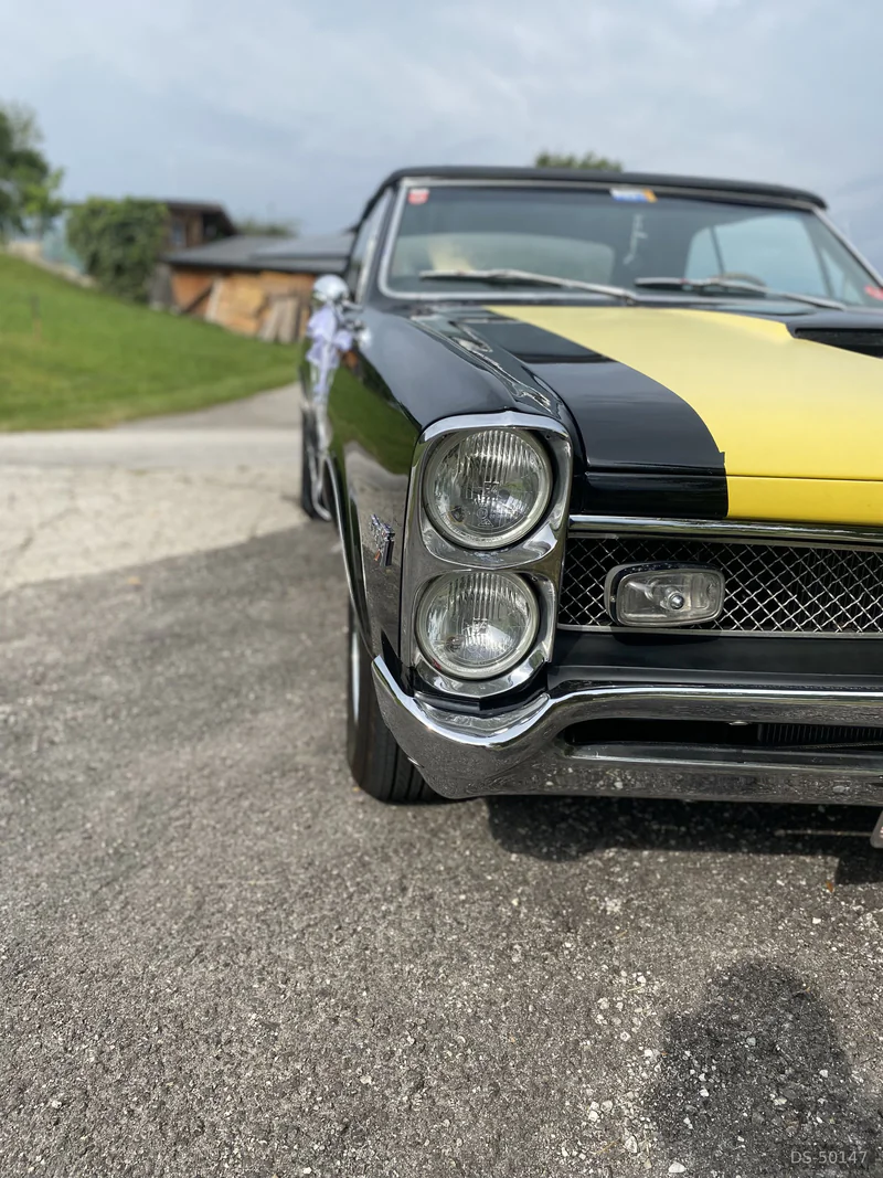 1967 Pontiac Le Mans in Ternberg 3