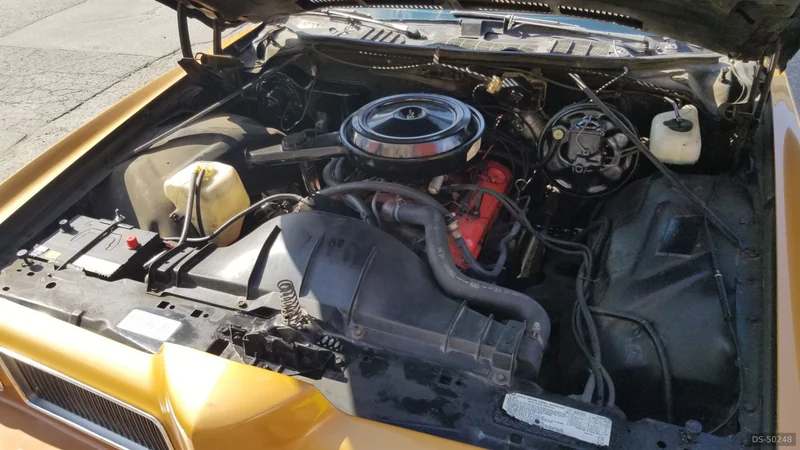 1973 Pontiac Lemans in Laval 9