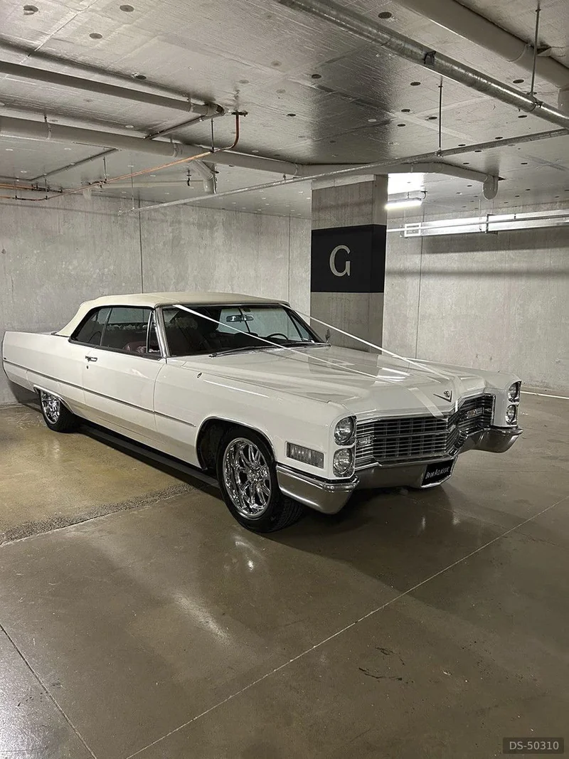 1966 Cadillac Coupe  Deville in Carrum Downs 8