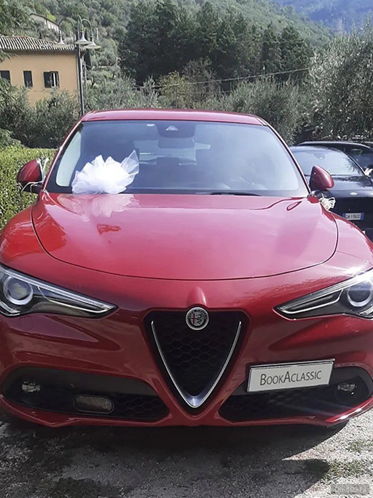 2018 Alfa Romeo Stelvio in Terni 2
