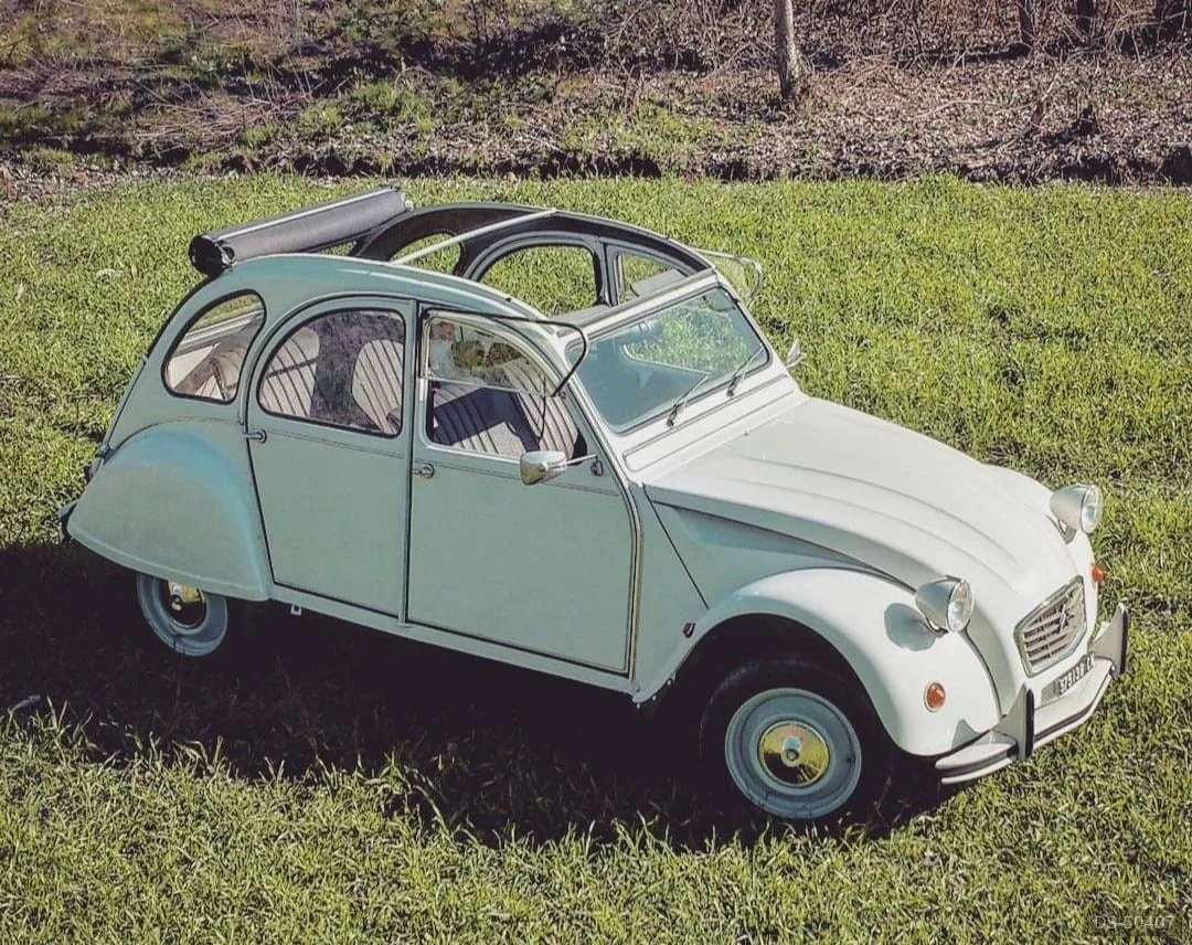1984 Citroen 2cv 6 Special