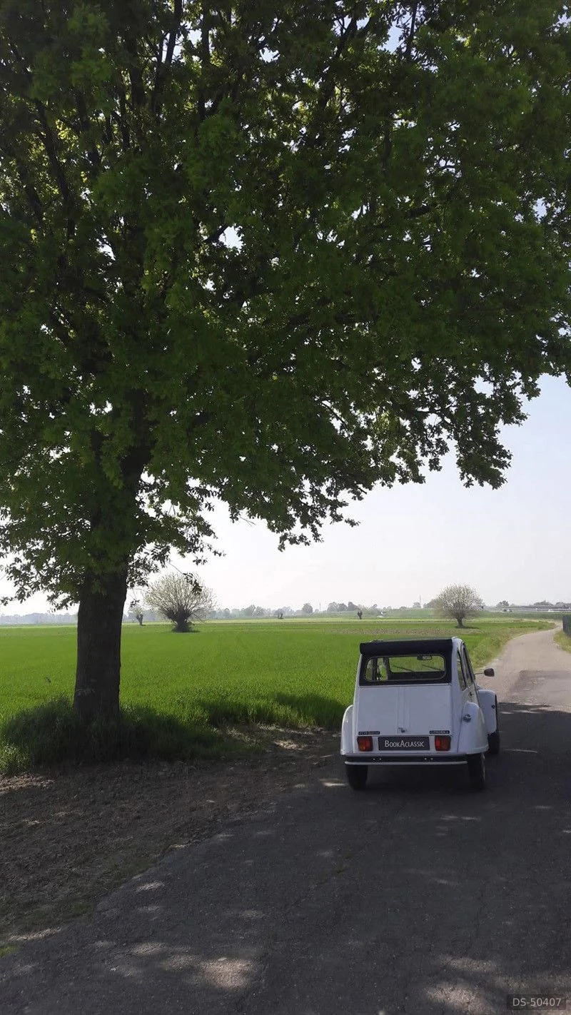 1984 Citroen 2cv 6 Special in Alessandria 3