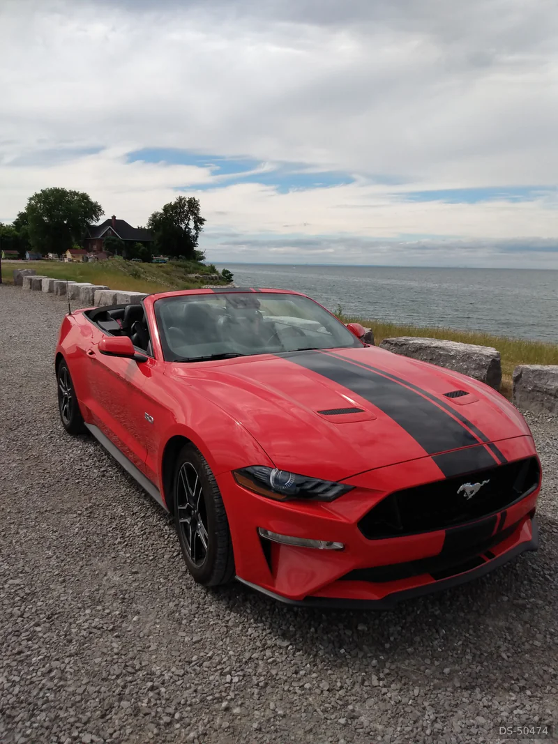 2022 Ford Mustang in Toronto 3