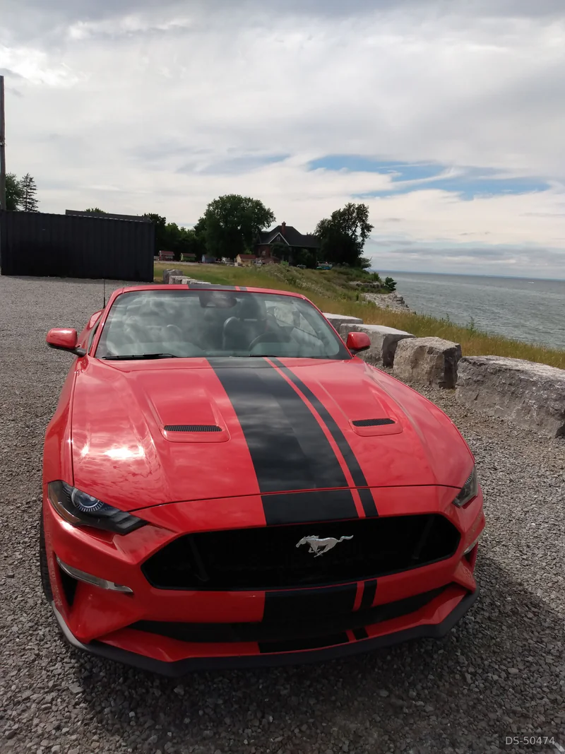 2022 Ford Mustang in Toronto 4