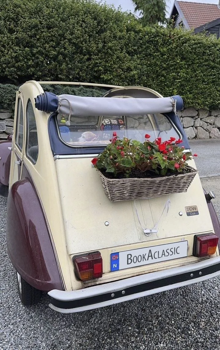 1987 Citroen 2 Cv 6 in Kleppe 2