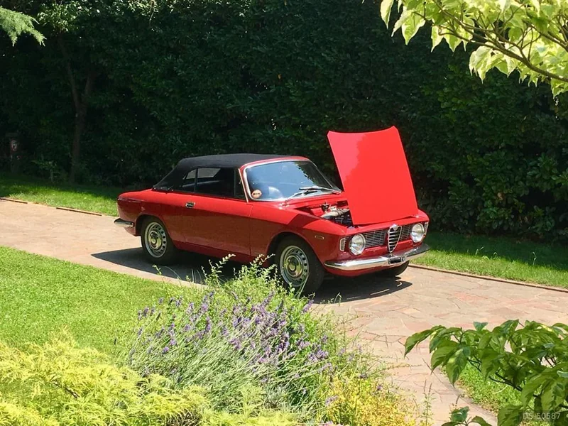 1965 Alfa Romeo Giulia Gtc in Schio 5