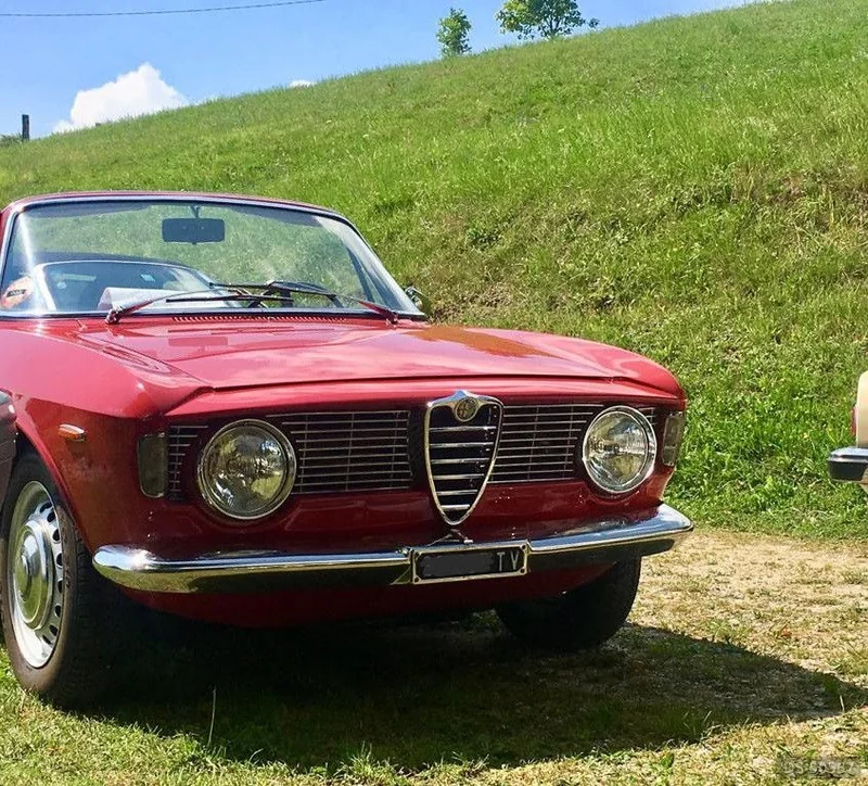 1965 Alfa Romeo Giulia Gtc in Schio 6