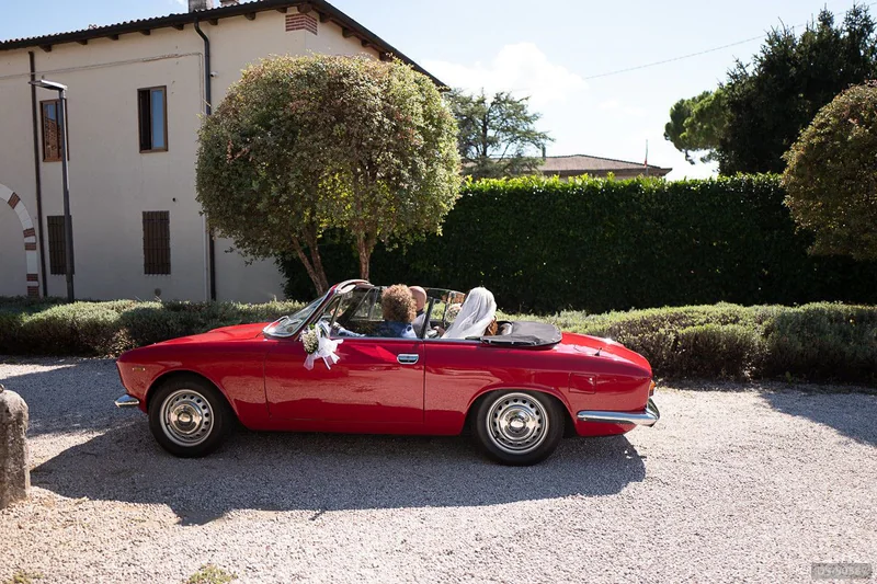1965 Alfa Romeo Giulia Gtc in Schio 4