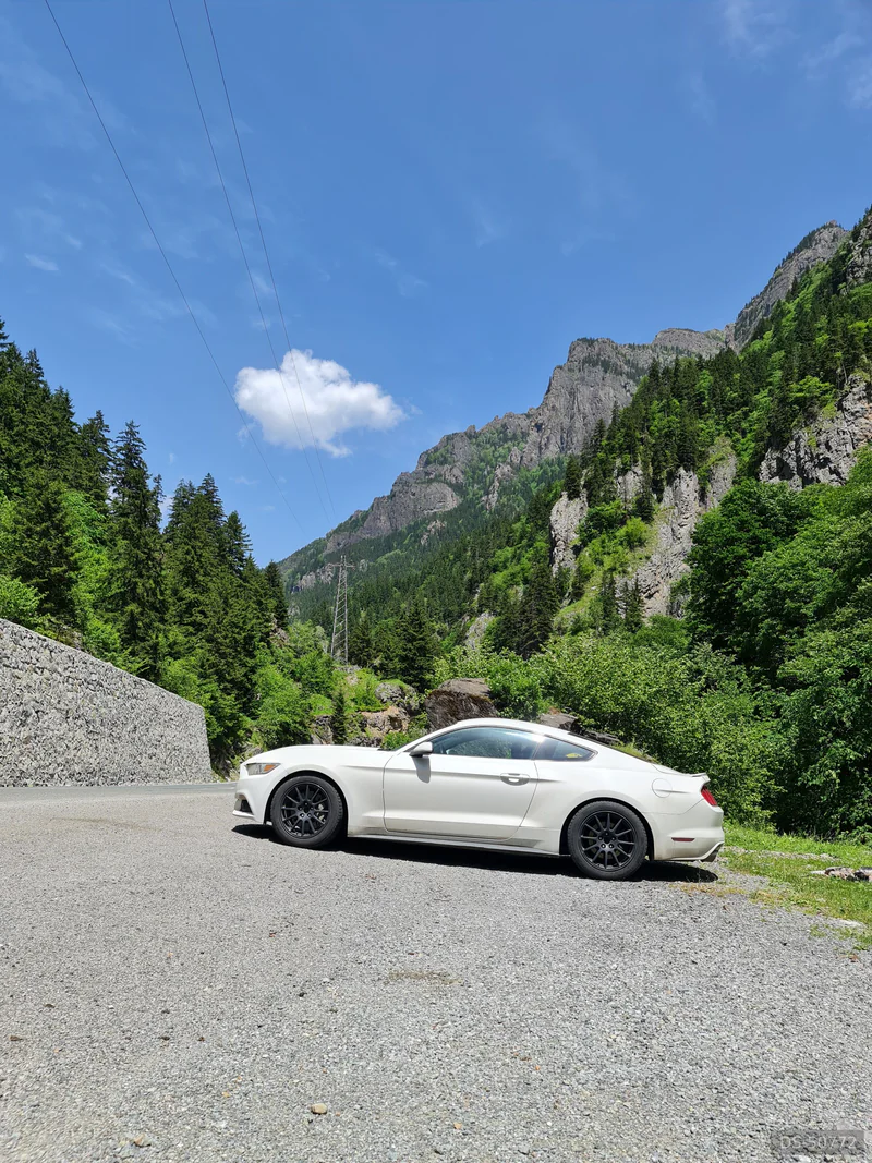 2016 Ford Mustang in Wilsdruff 6