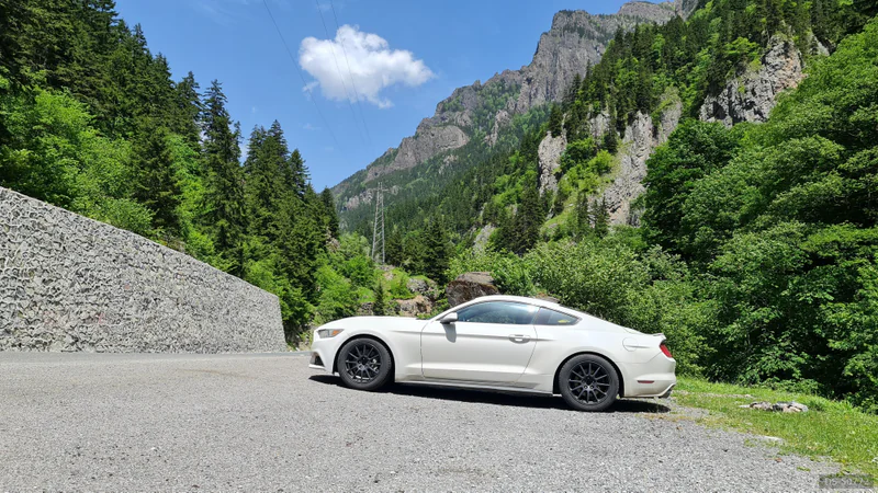 2016 Ford Mustang in Wilsdruff 7