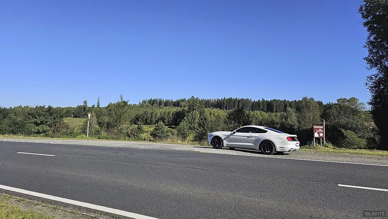 2016 Ford Mustang in Wilsdruff 3